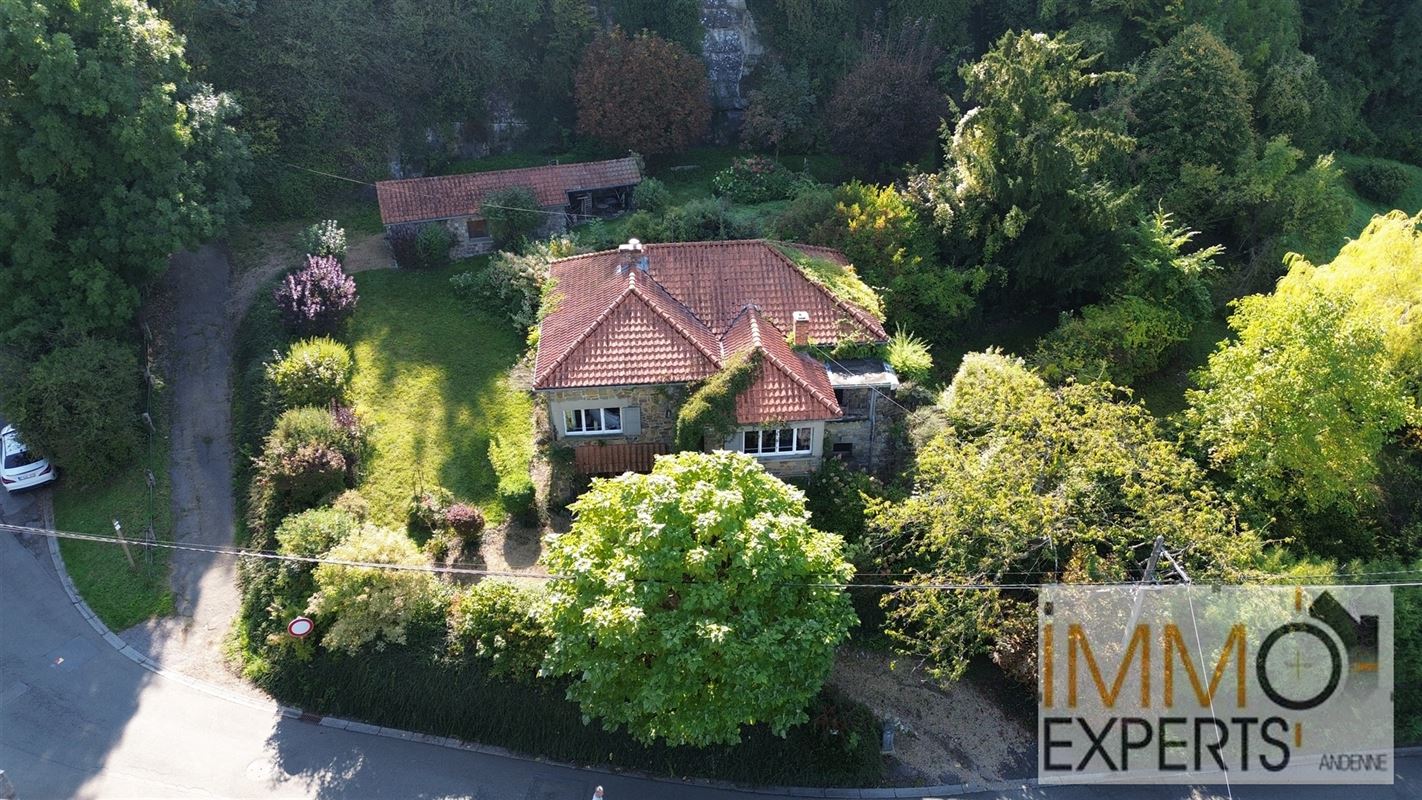 !!OPTION!!Belle maison mosane avec vue imprenable