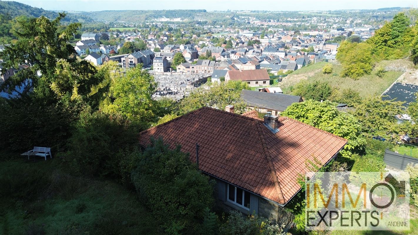 !!OPTION!!Belle maison mosane avec vue imprenable