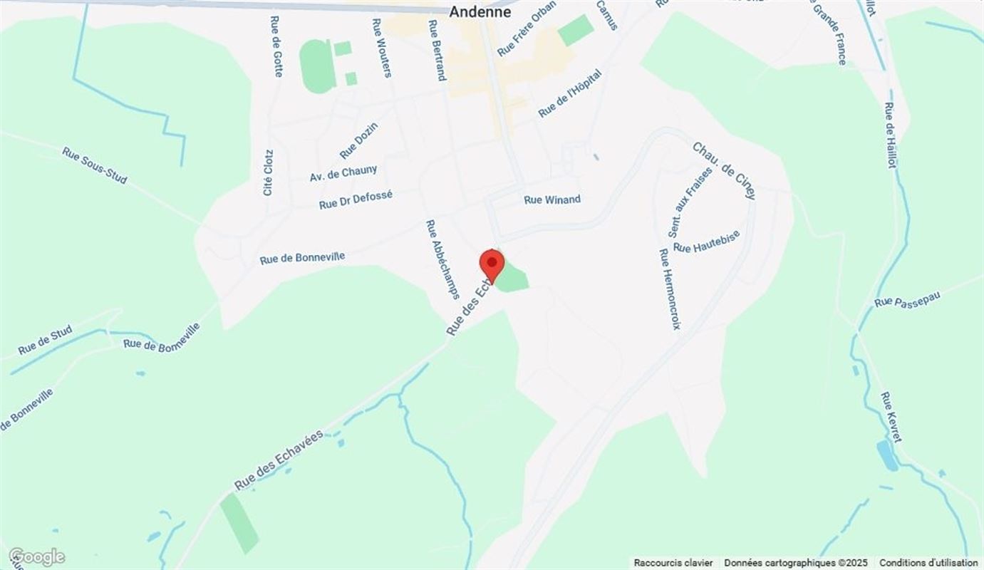 !!OPTION!!Belle maison mosane avec vue imprenable