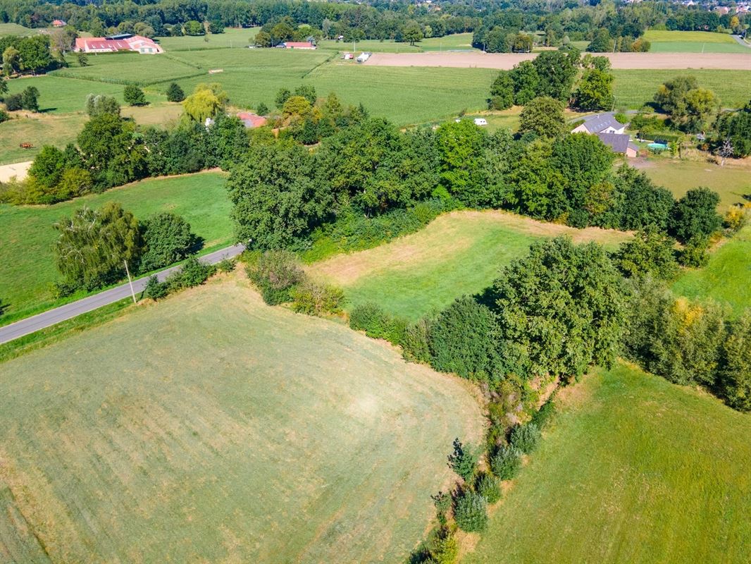 Perceel landbouwgrond te Beerzel - opp. 2547 m²