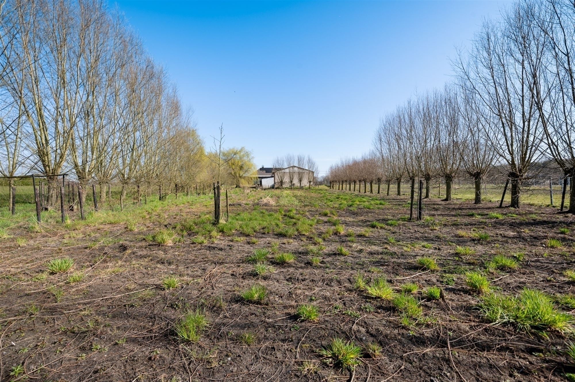 Op te frissen exploitatiewoning te Koningshooikt