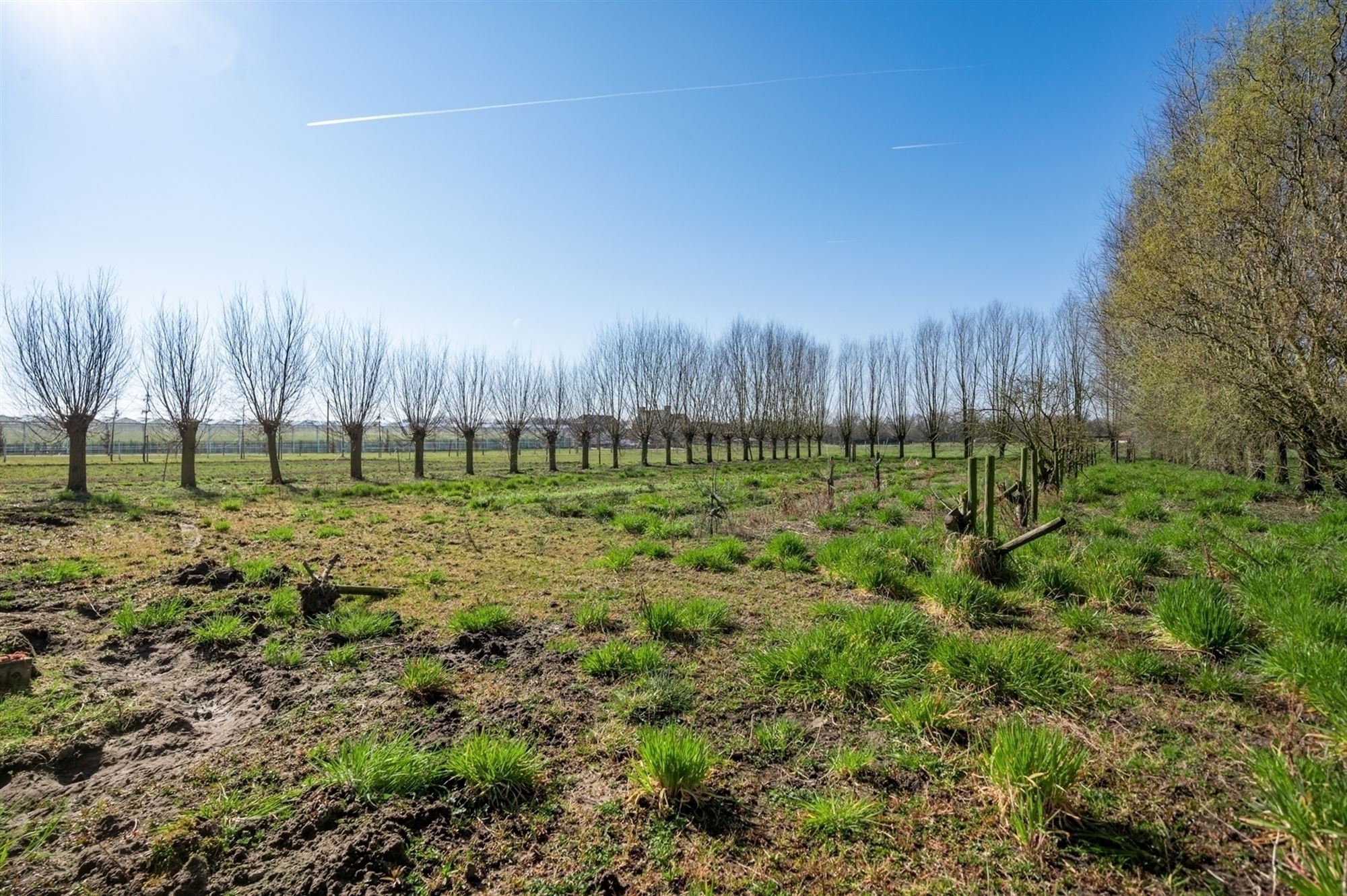 Op te frissen exploitatiewoning te Koningshooikt