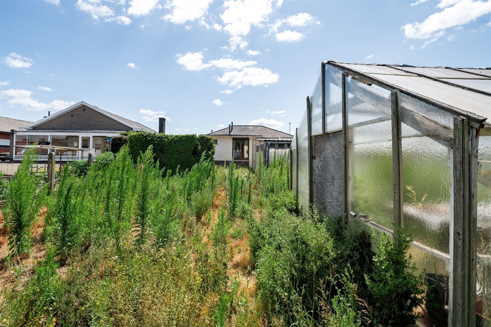 Bouwgrond met af te breken of grondig te moderniseren woning te Putte