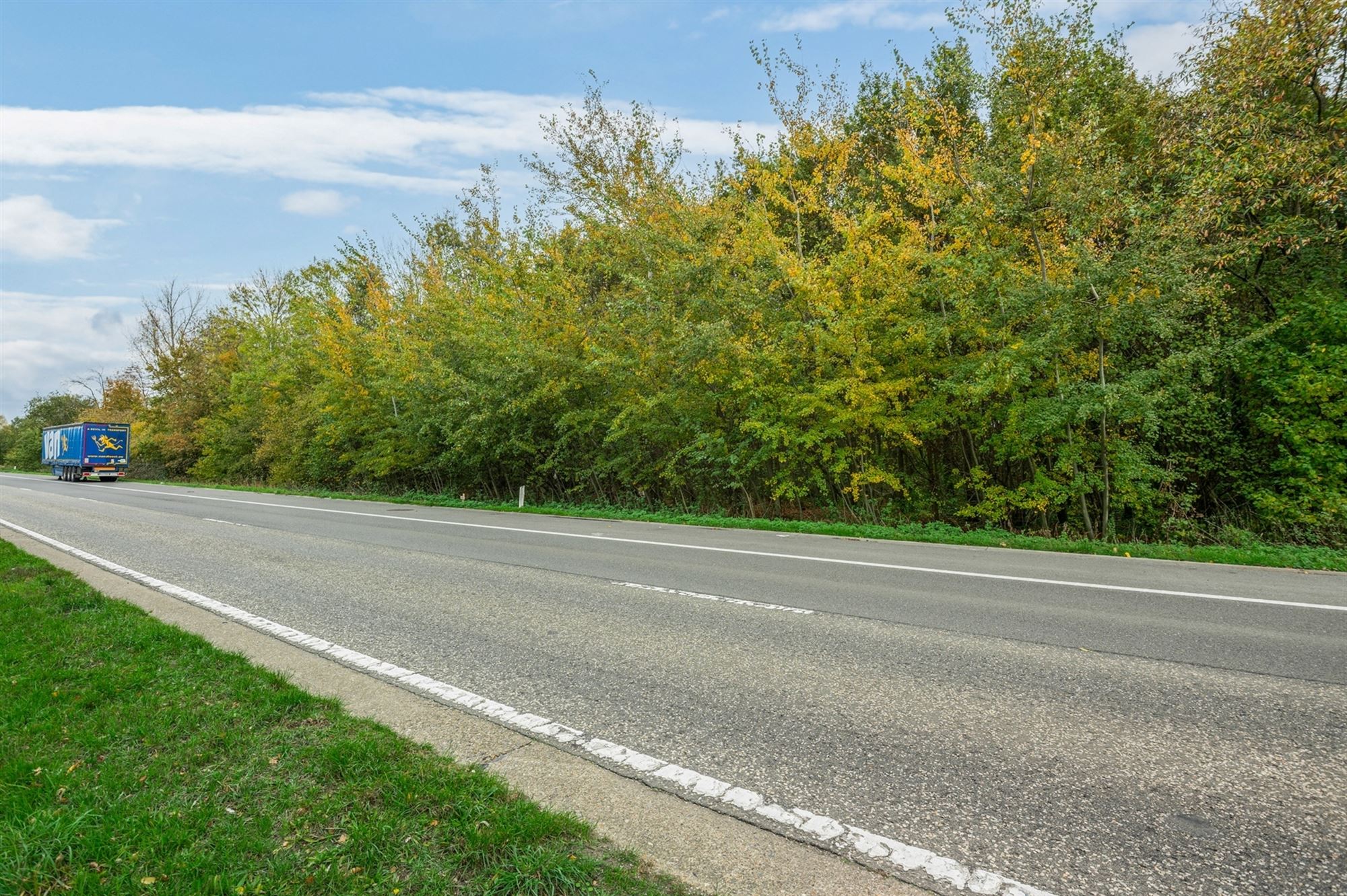 Prachtig perceel met bomen te Mechelen