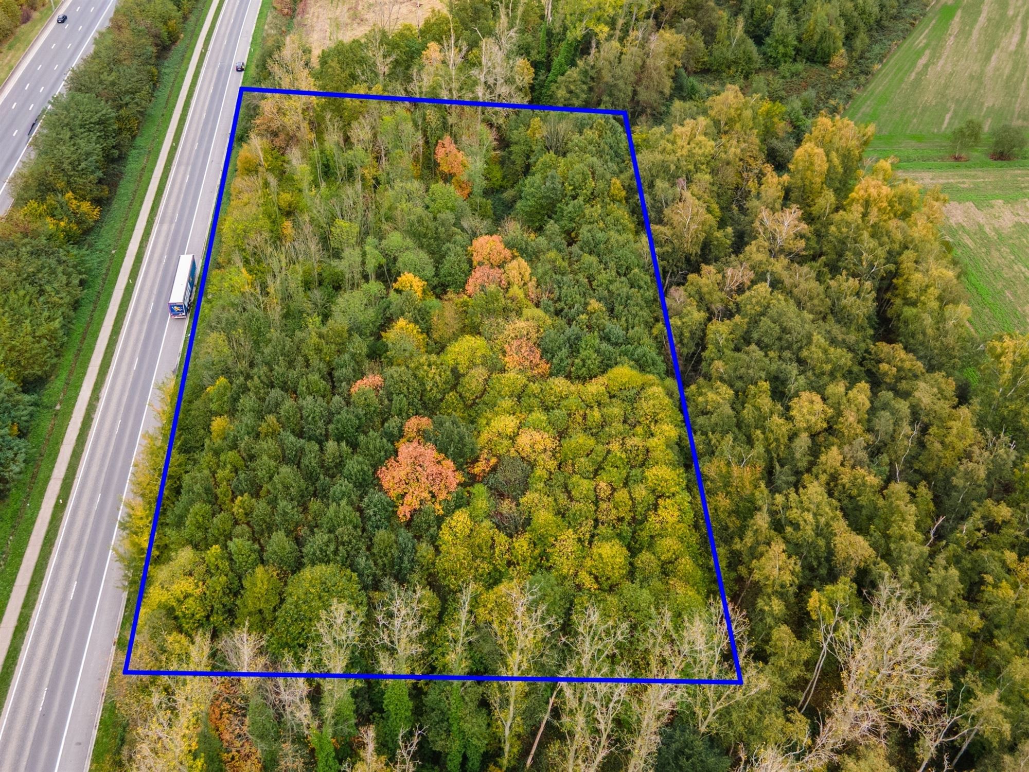 Prachtig perceel met bomen te Mechelen