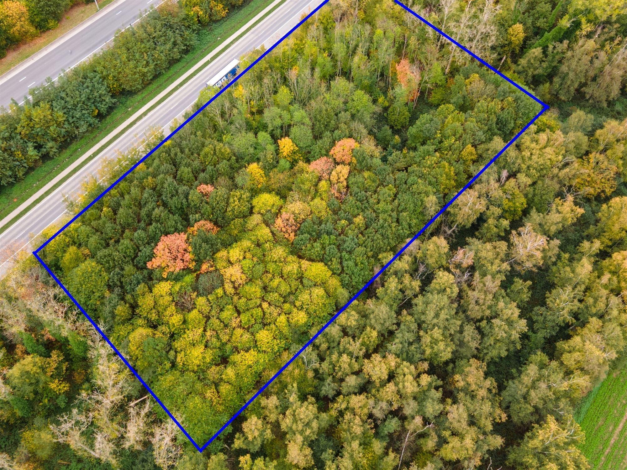 Prachtig perceel met bomen te Mechelen