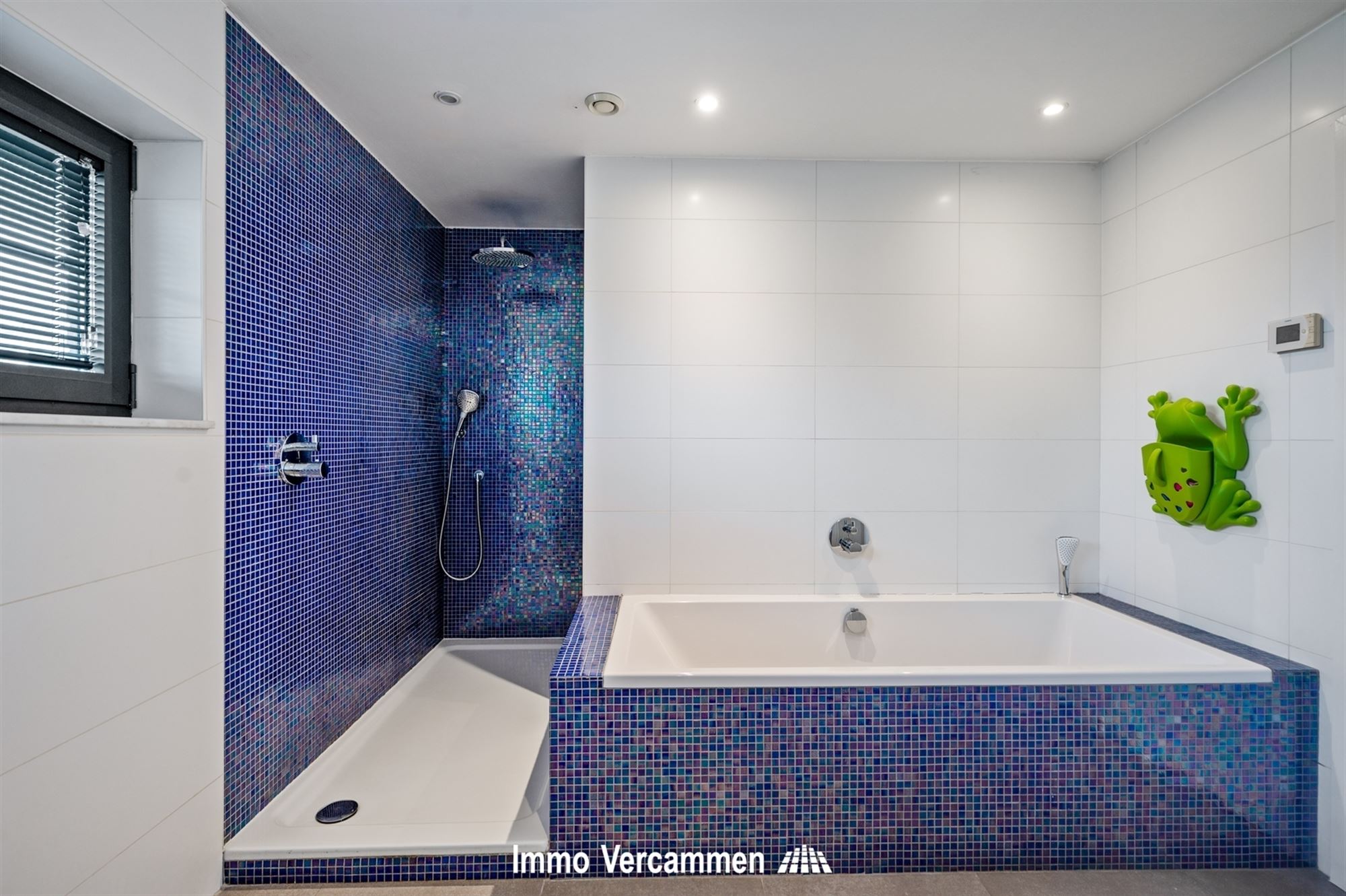 Recente villa met 4 slpks en zwembad, gunstig gelegen te Duffel