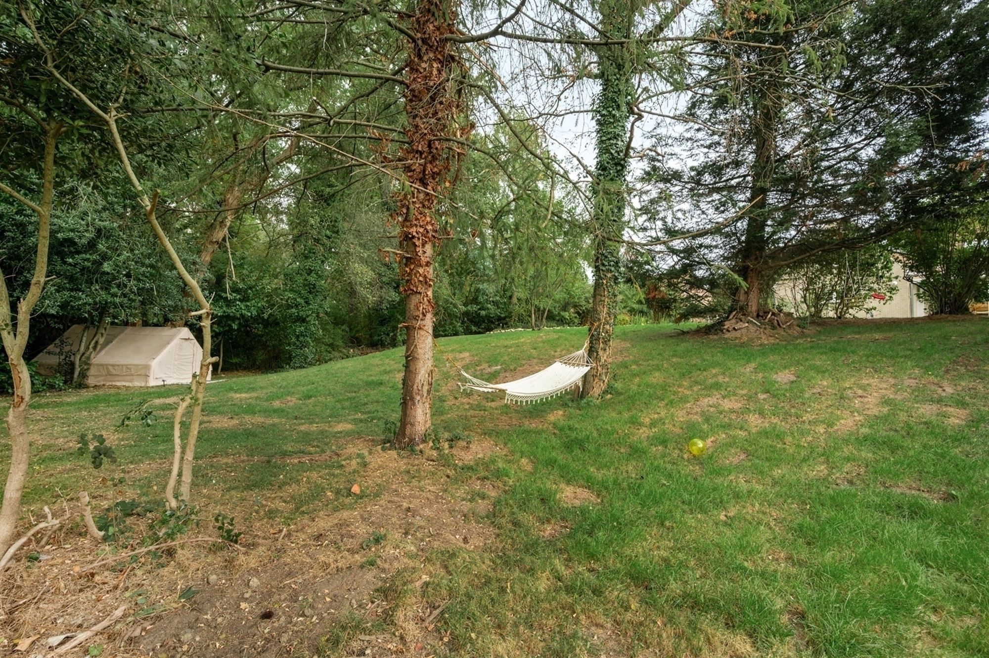 Verrassend ruime, stijlvolle woning te Sint-Katelijne-Waver