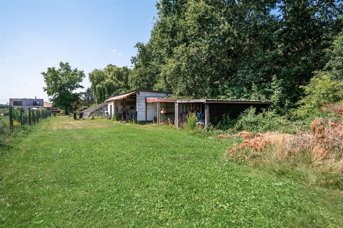 Te renoveren woning met veel potentieel in het landelijke Schriek