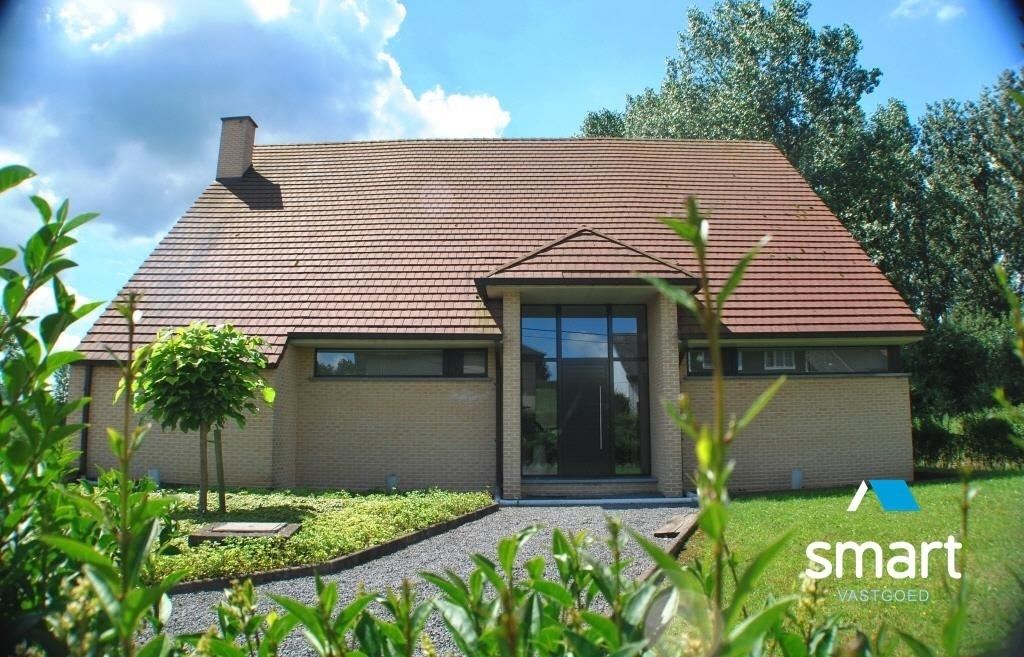 Modern villa