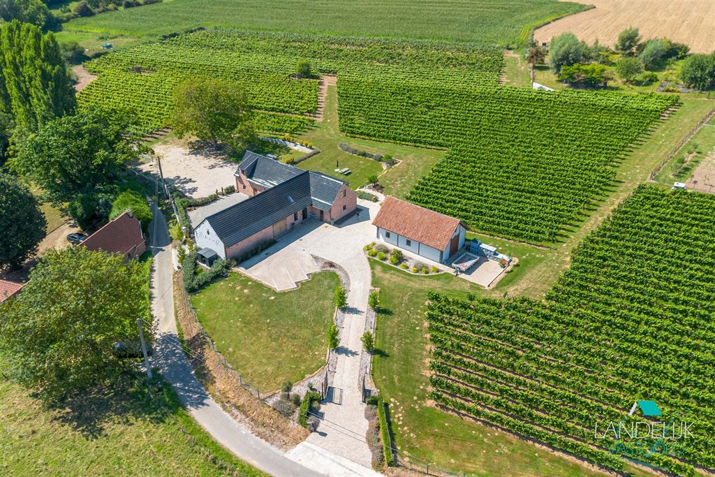 Domaine exclusif avec villa-ferme & vignoble – 2,2 ha, Pays des Collines