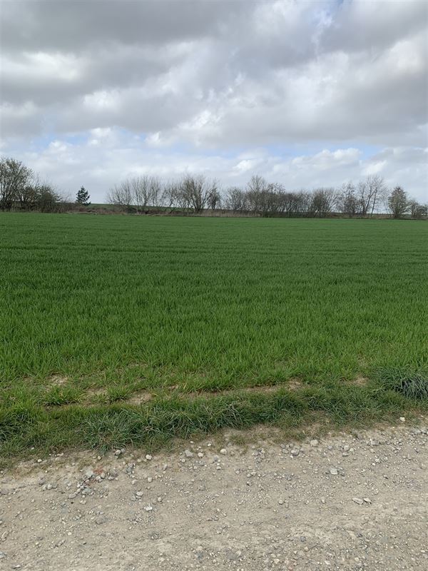 Bouwgrond