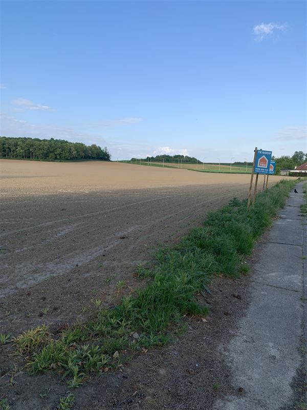 Bouwgrond
