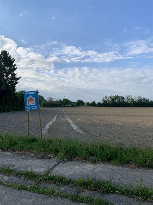 Bouwgrond