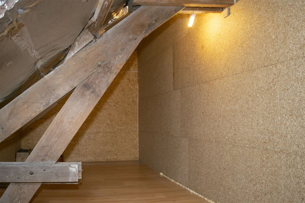 Landelijke woning met zonnepanalen, garage en tuin