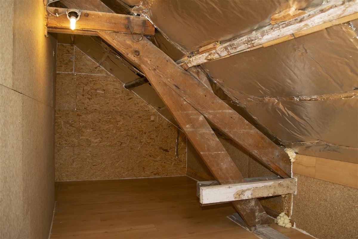 Landelijke woning met zonnepanalen, garage en tuin