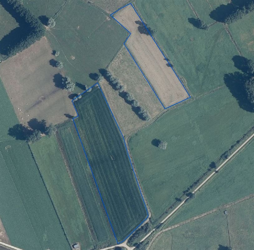 Landbouwgrond