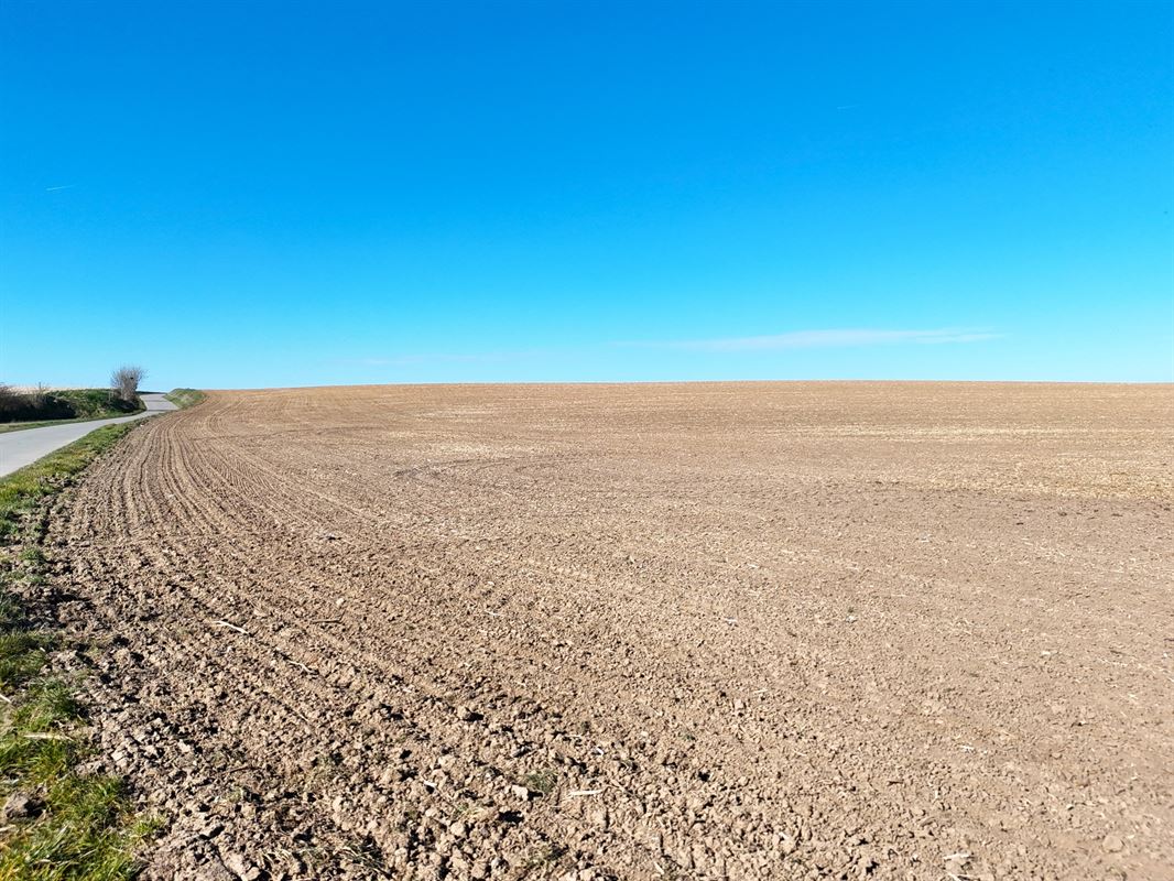 Groot perceel landbouwgrond