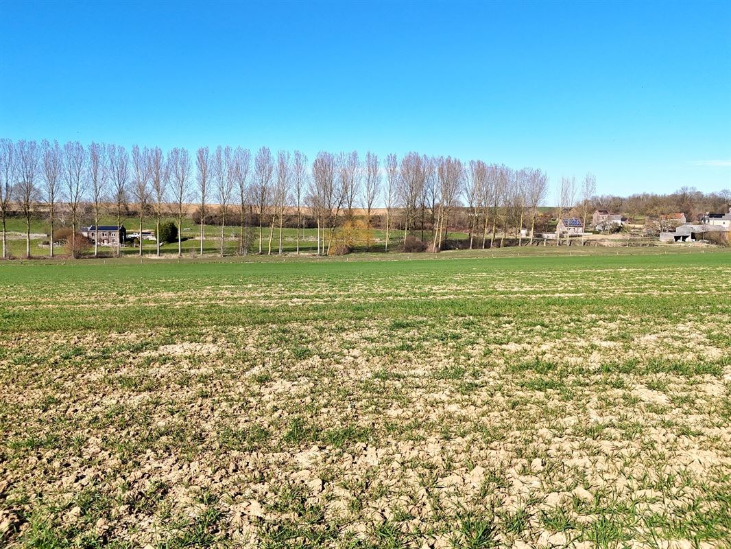 Groot perceel landbouwgrond - BLOK A