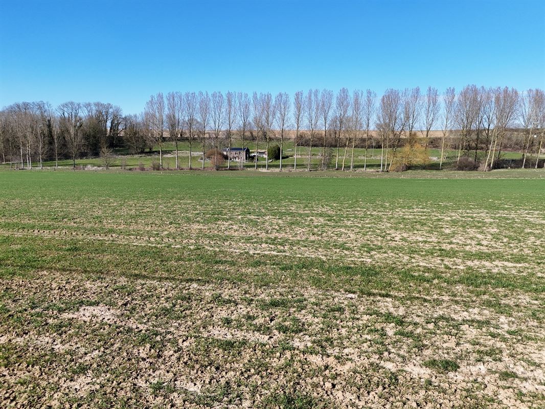 Groot perceel landbouwgrond - BLOK A