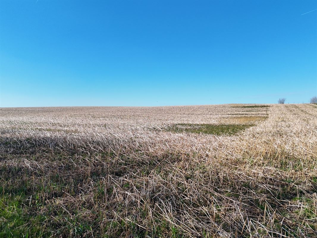 Groot perceel landbouwgrond - BLOK B