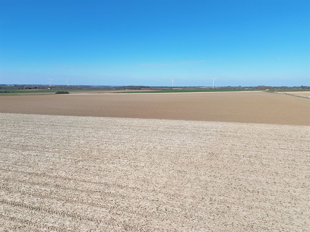 Groot perceel landbouwgrond - BLOK B
