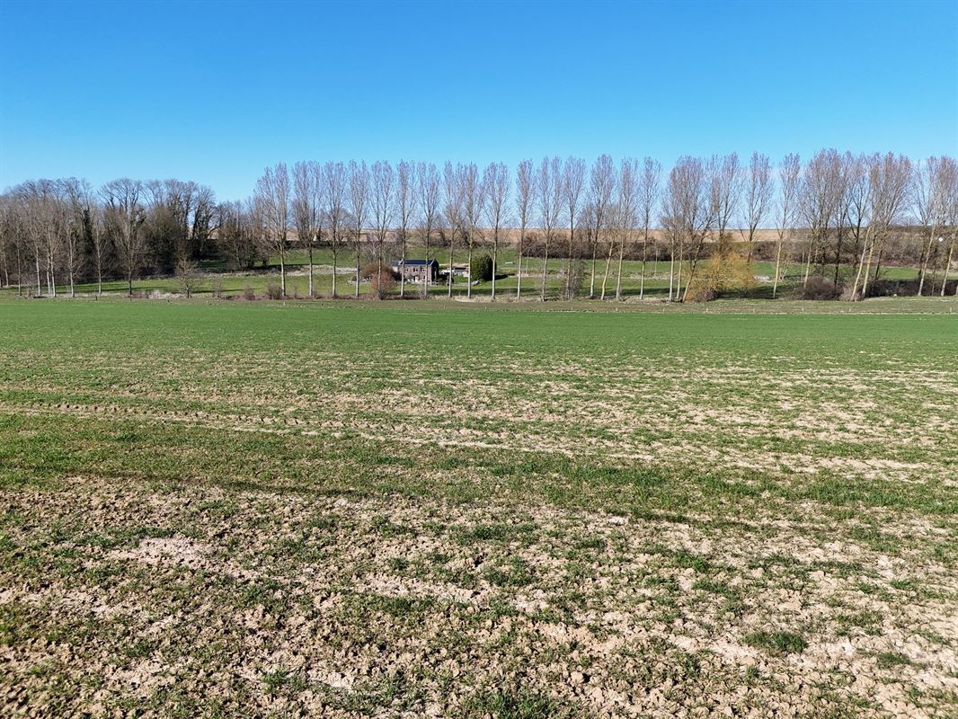 Groot perceel landbouwgrond - BLOK C