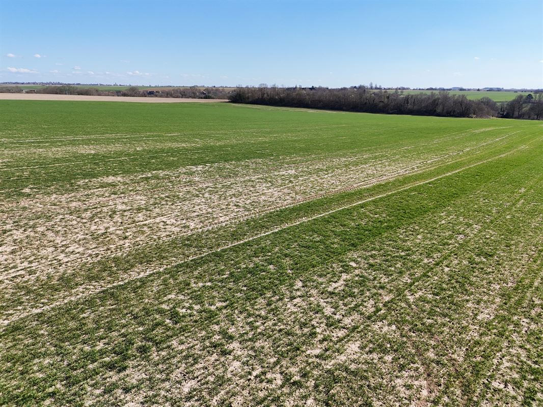 Groot perceel landbouwgrond