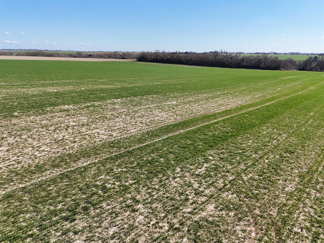 Groot perceel landbouwgrond - BLOK A