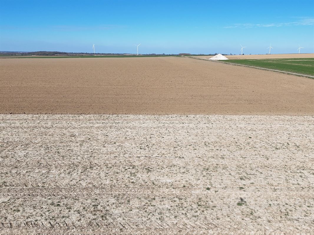 Groot perceel landbouwgrond - BLOK A
