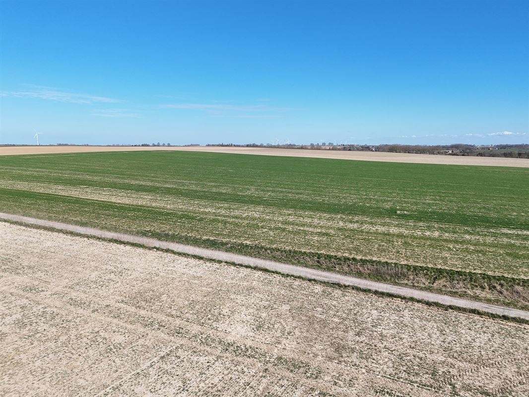 Groot perceel landbouwgrond - BLOK A