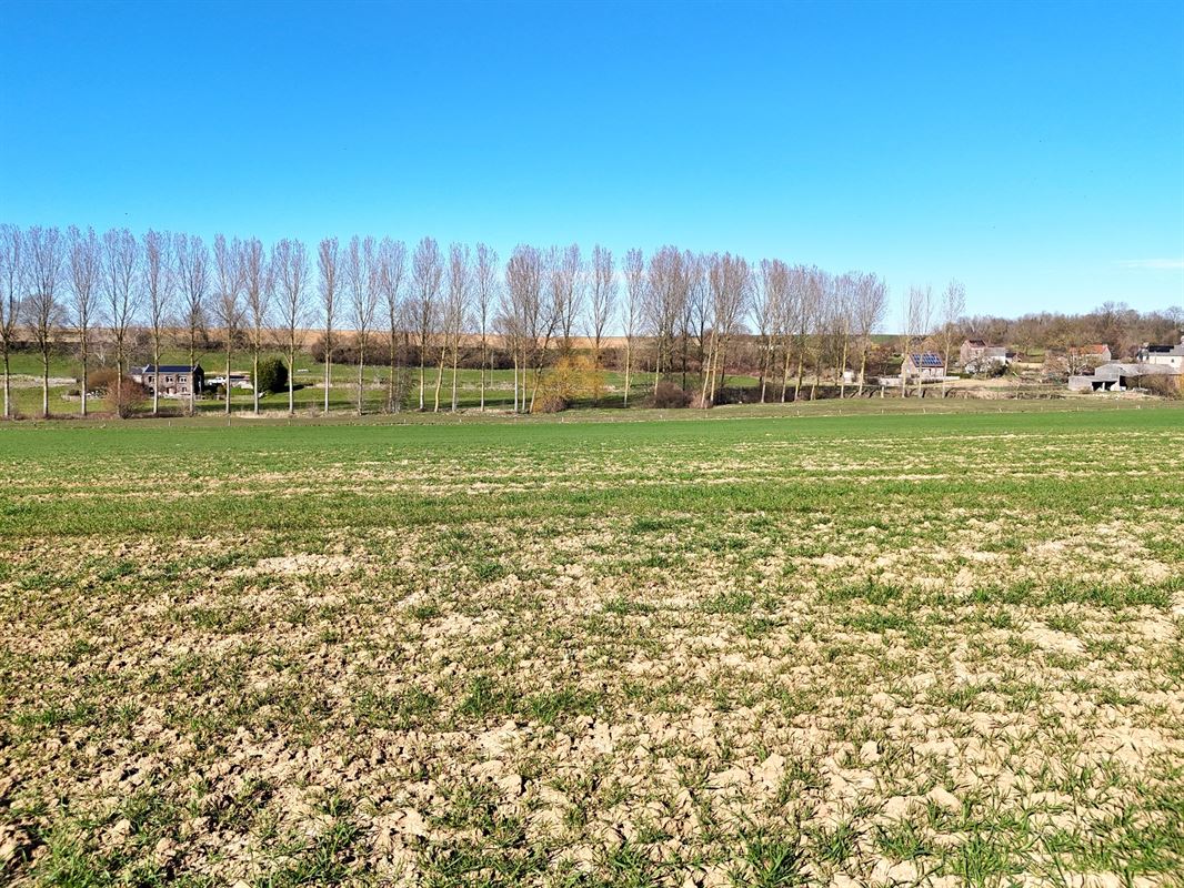Groot perceel landbouwgrond - BLOK B