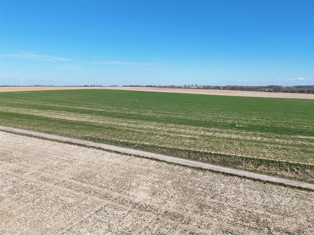 Groot perceel landbouwgrond - BLOK B