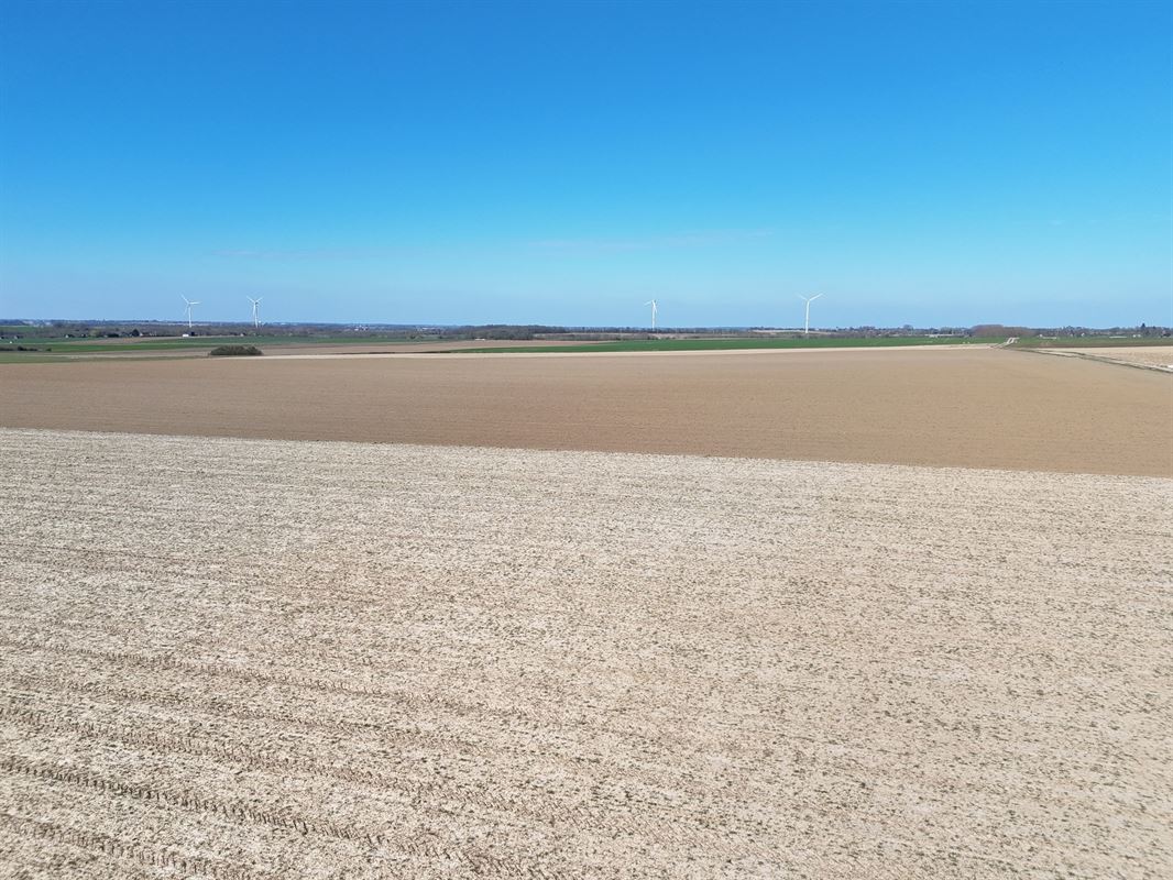 Groot perceel landbouwgrond - BLOK B