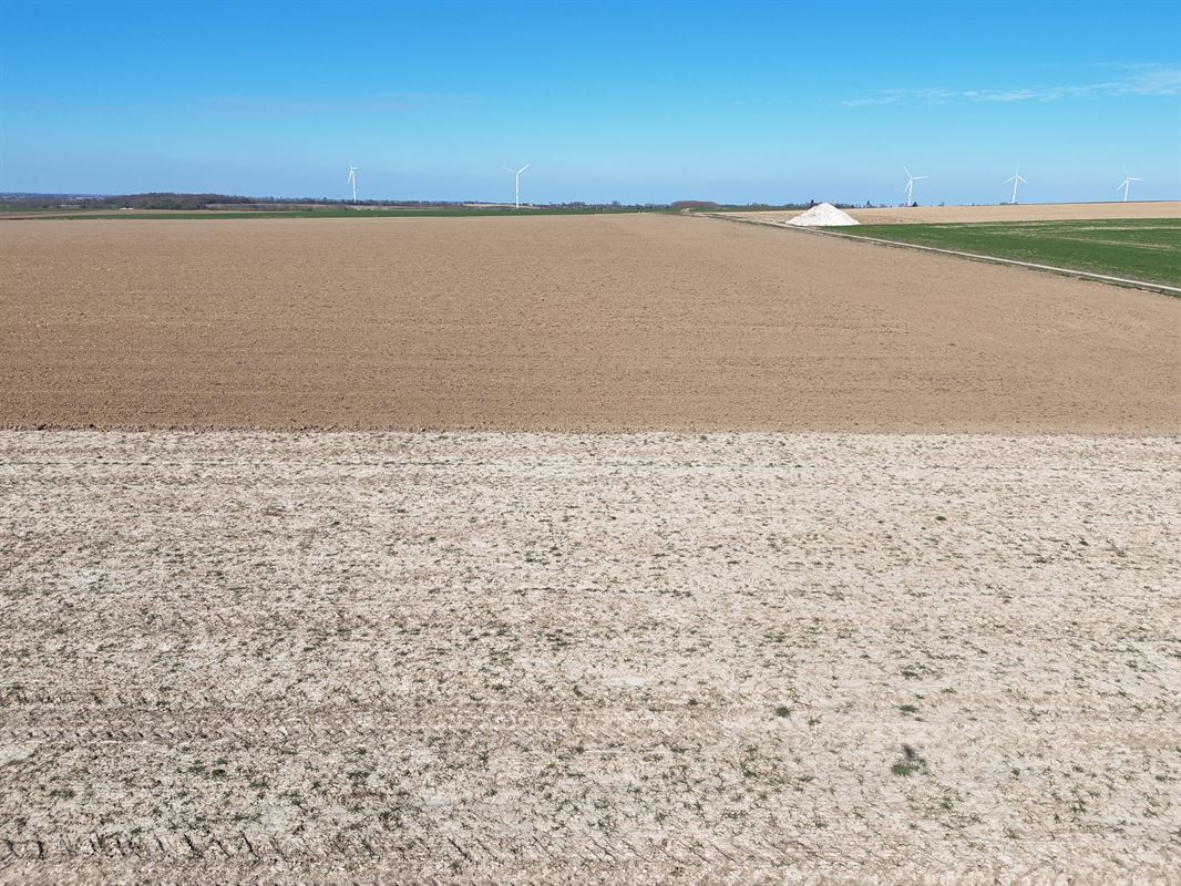 Groot perceel landbouwgrond