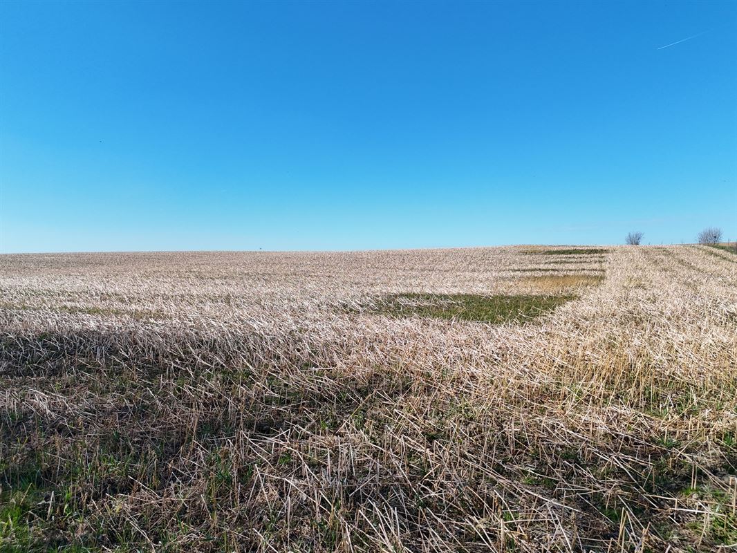 Groot perceel landbouwgrond