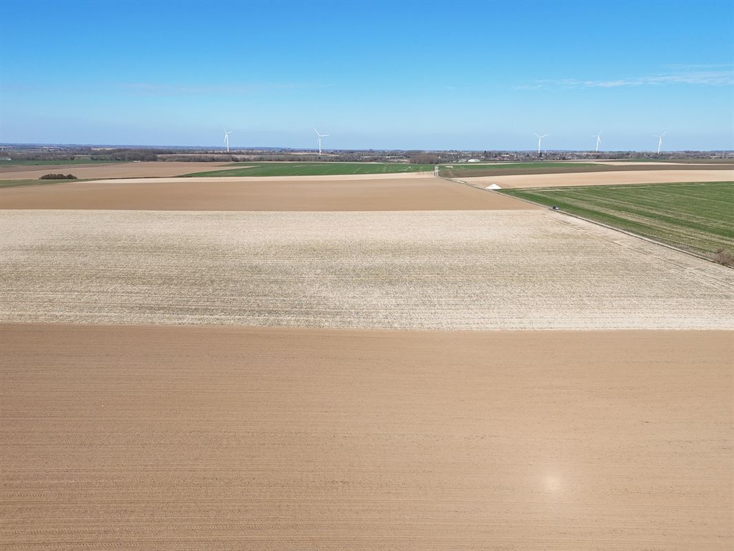 Groot perceel landbouwgrond