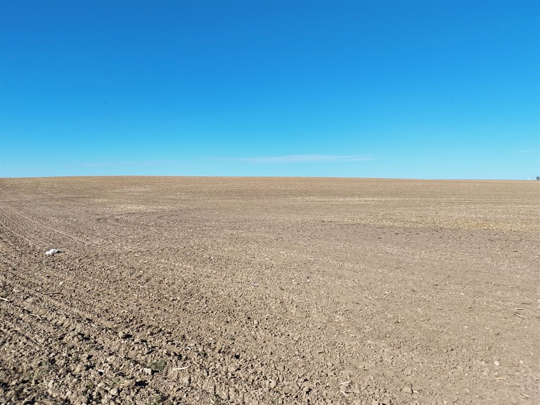 Groot perceel landbouwgrond - BLOK B