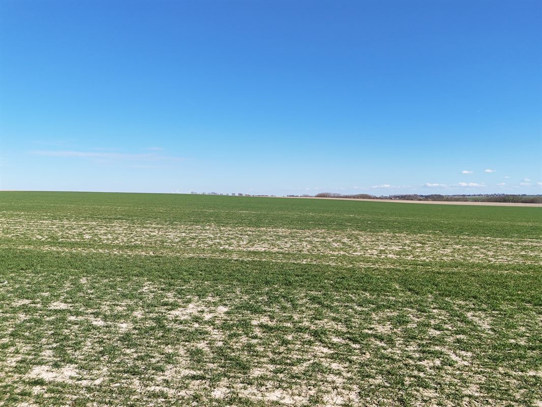 Groot perceel landbouwgrond - BLOK B