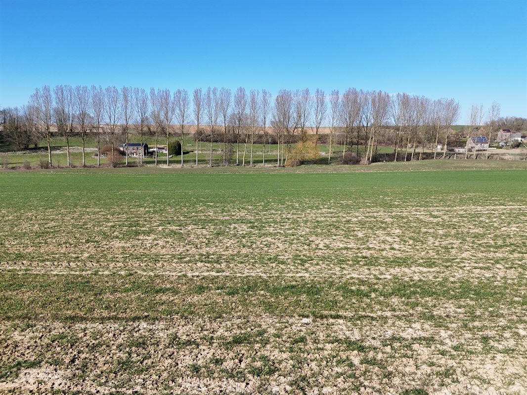 Groot perceel landbouwgrond - BLOK B