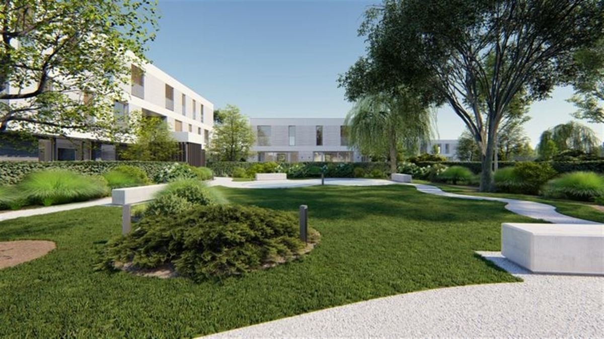 gemeenschappelijk park.jpg