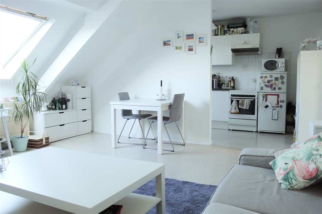 Dakappartement