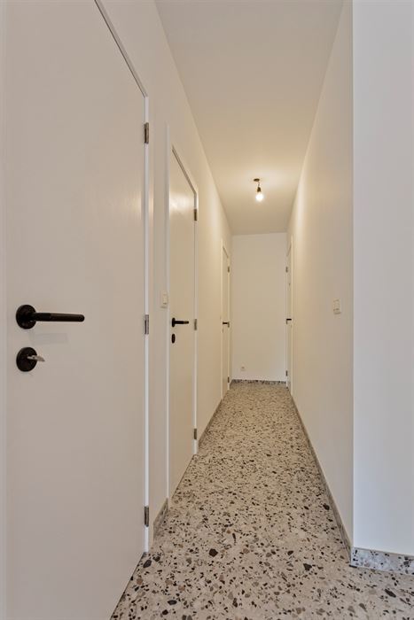 Duplex
