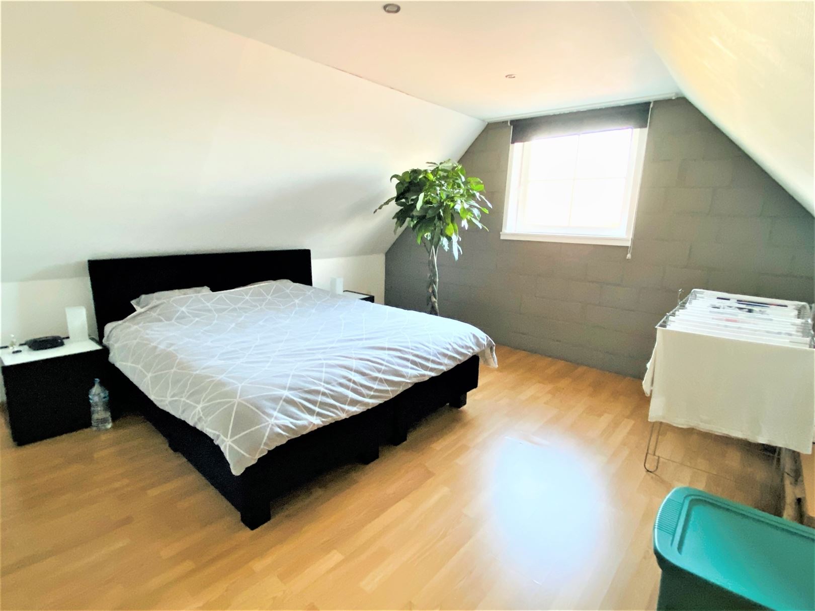 Foto 8 : Appartement te 9200 DENDERMONDE (België) - Prijs € 675