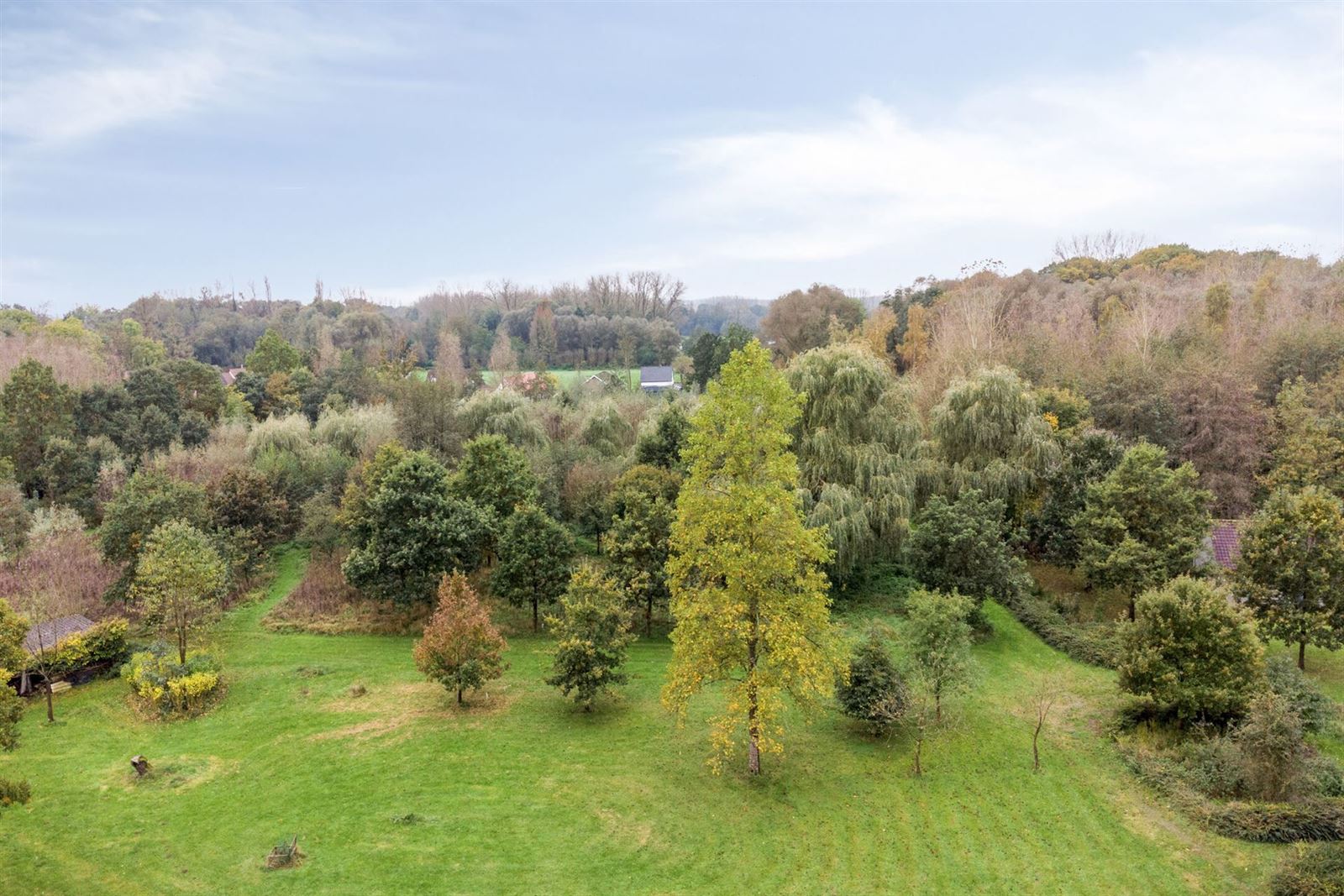 FOTO’S 18 : Grond te 1730 Asse (België) - Prijs In optie
