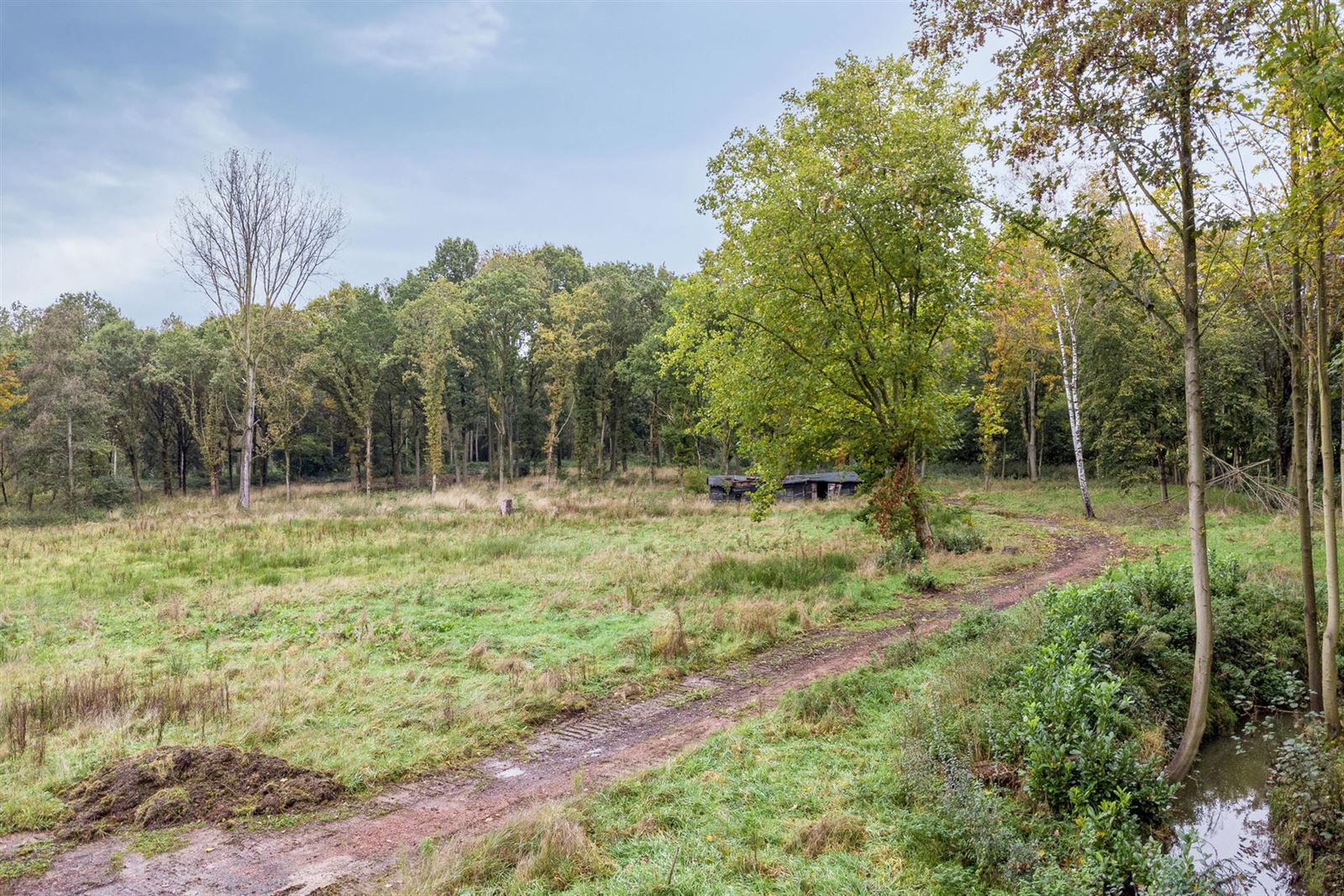 FOTO’S 3 : Grond te 1730 Asse (België) - Prijs In optie