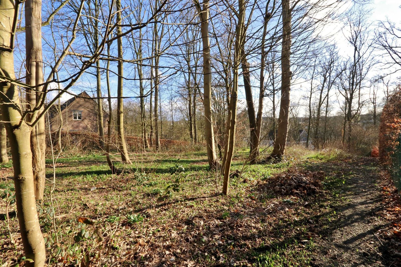 PHOTOS 4 : Terrain à bâtir à 1653 DWORP (Belgique) - Prix 350.000 €