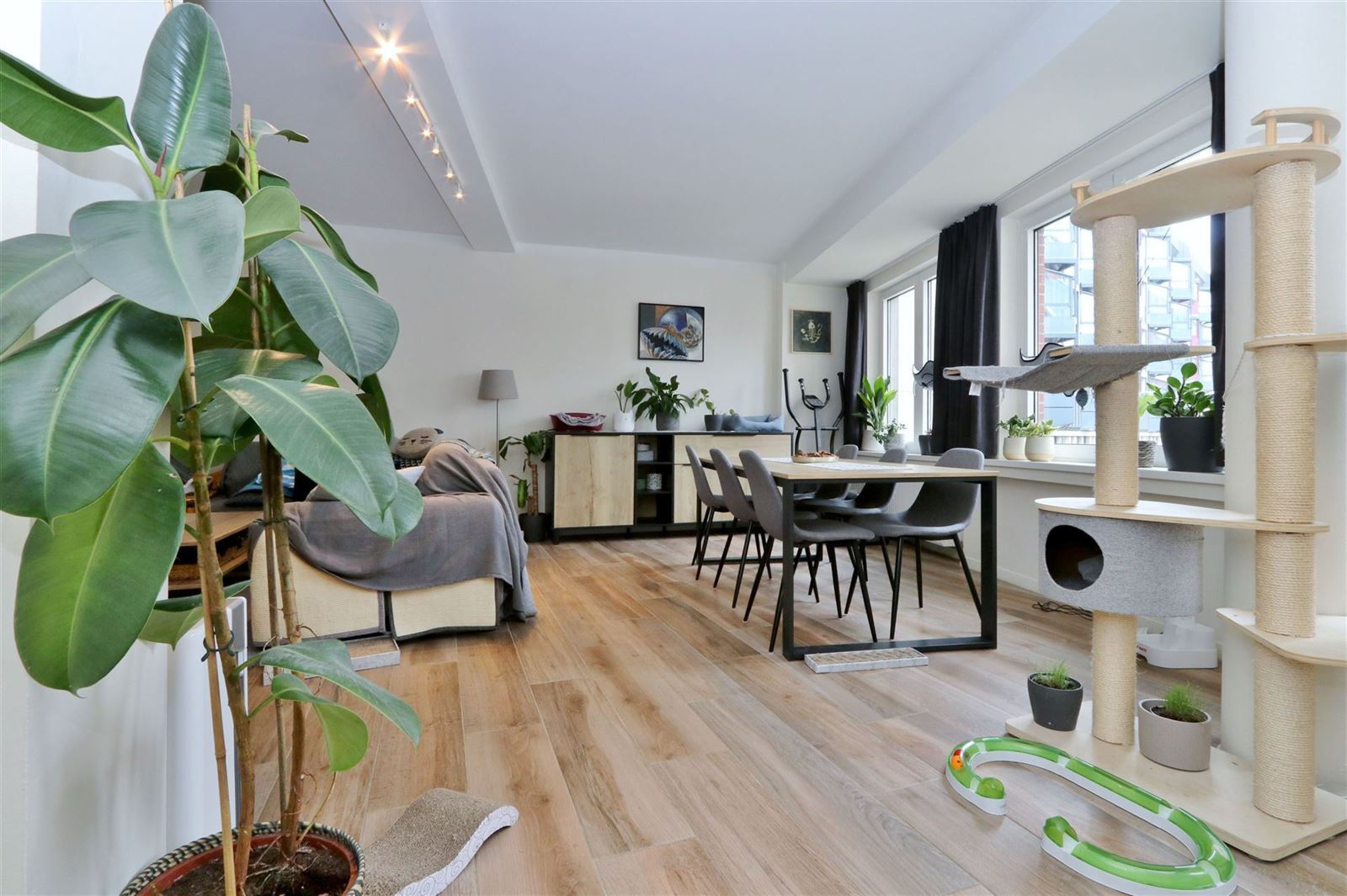 FOTO’S 11 : Appartement te 1500 HALLE (België) - Prijs € 930