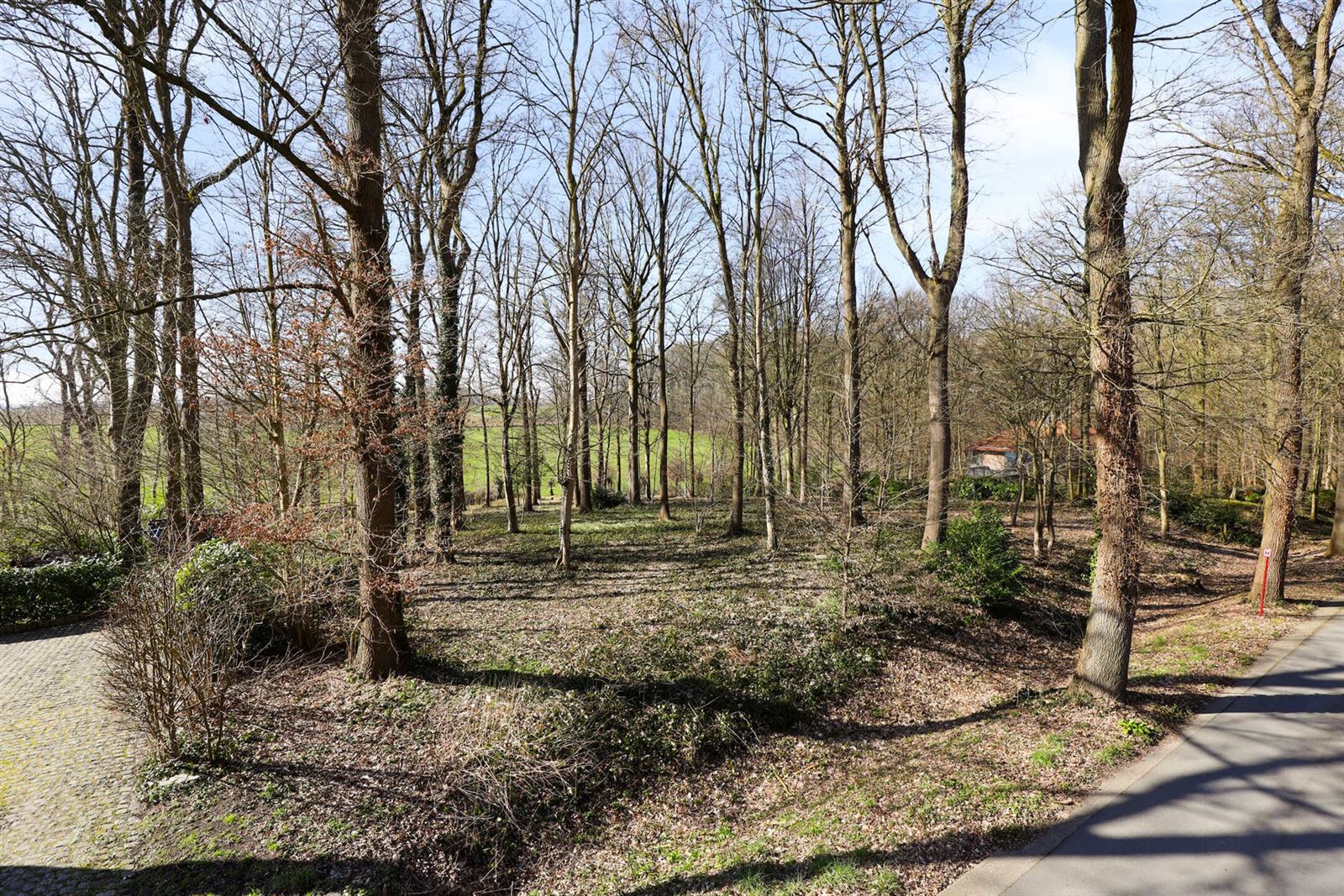 FOTO’S 2 : Bouwgrond te 7850 LETTELINGEN (België) - Prijs € 425.000