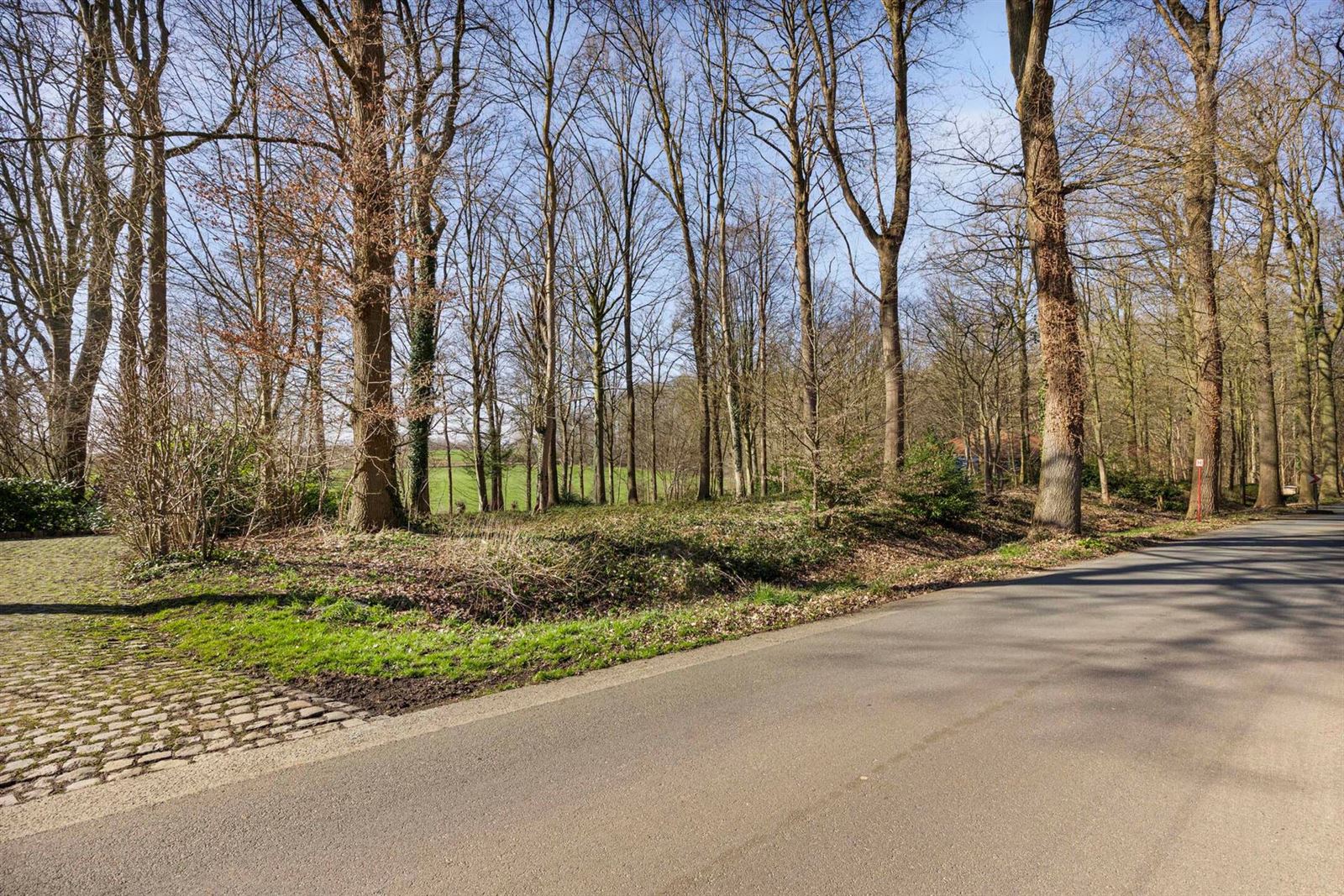 FOTO’S 5 : Bouwgrond te 7850 LETTELINGEN (België) - Prijs € 425.000